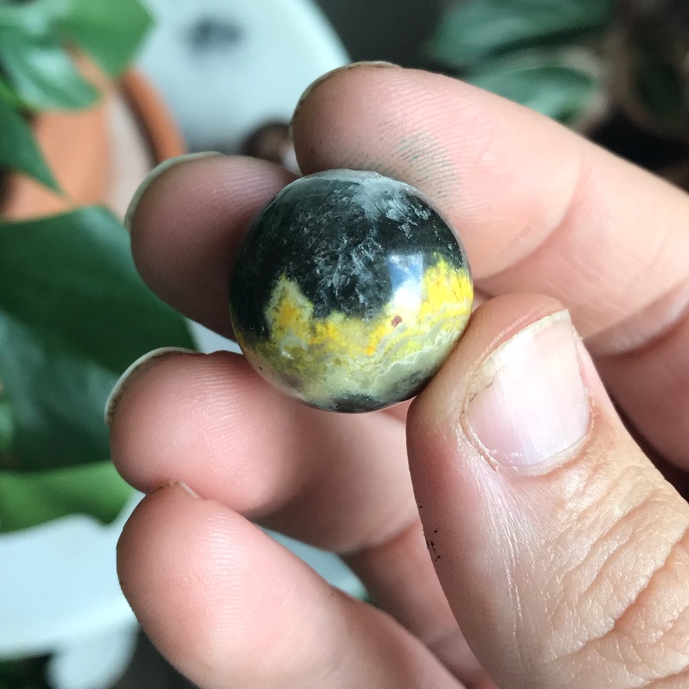 Random 1pc small bumble bee jasper rare sphere